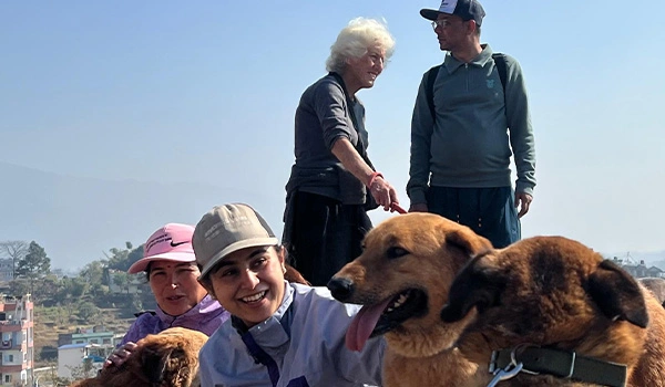 CSR activities and dog hiking