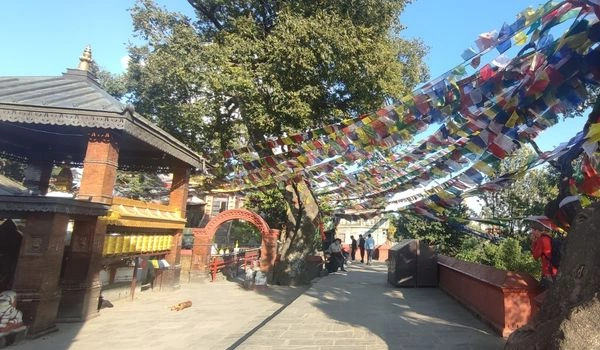 Tour in Nepal