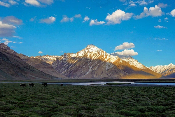 Tibet