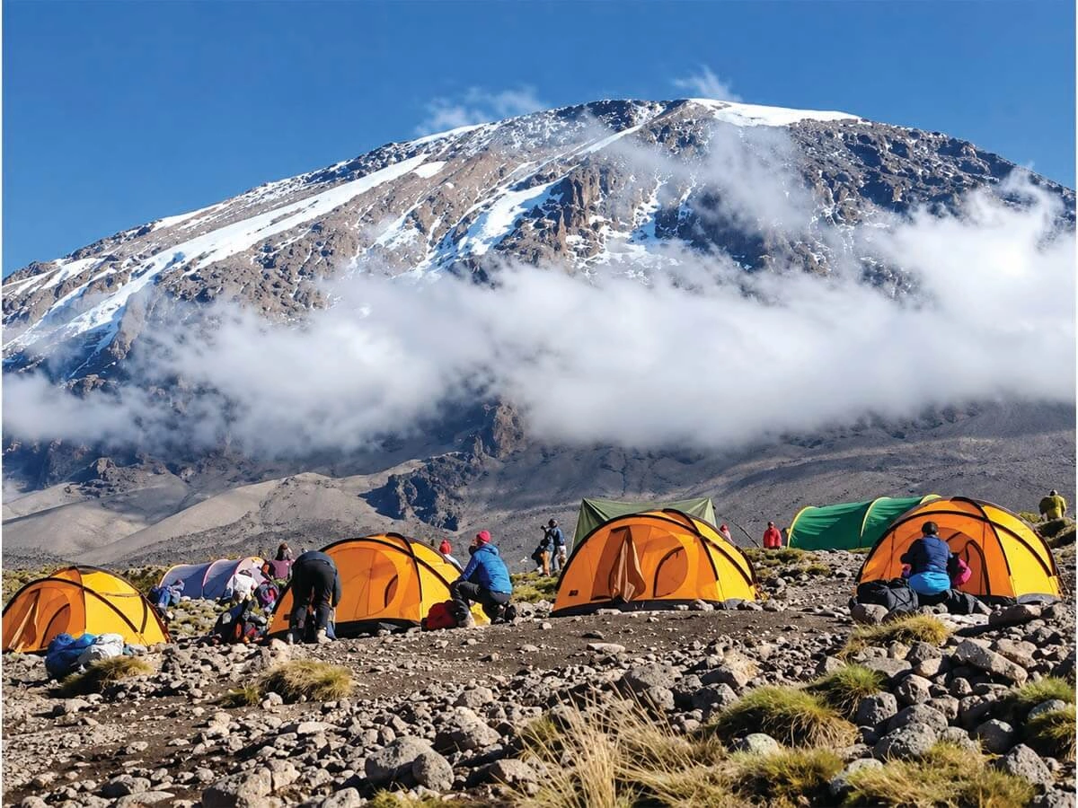 Beauty of Kilimanjaro
