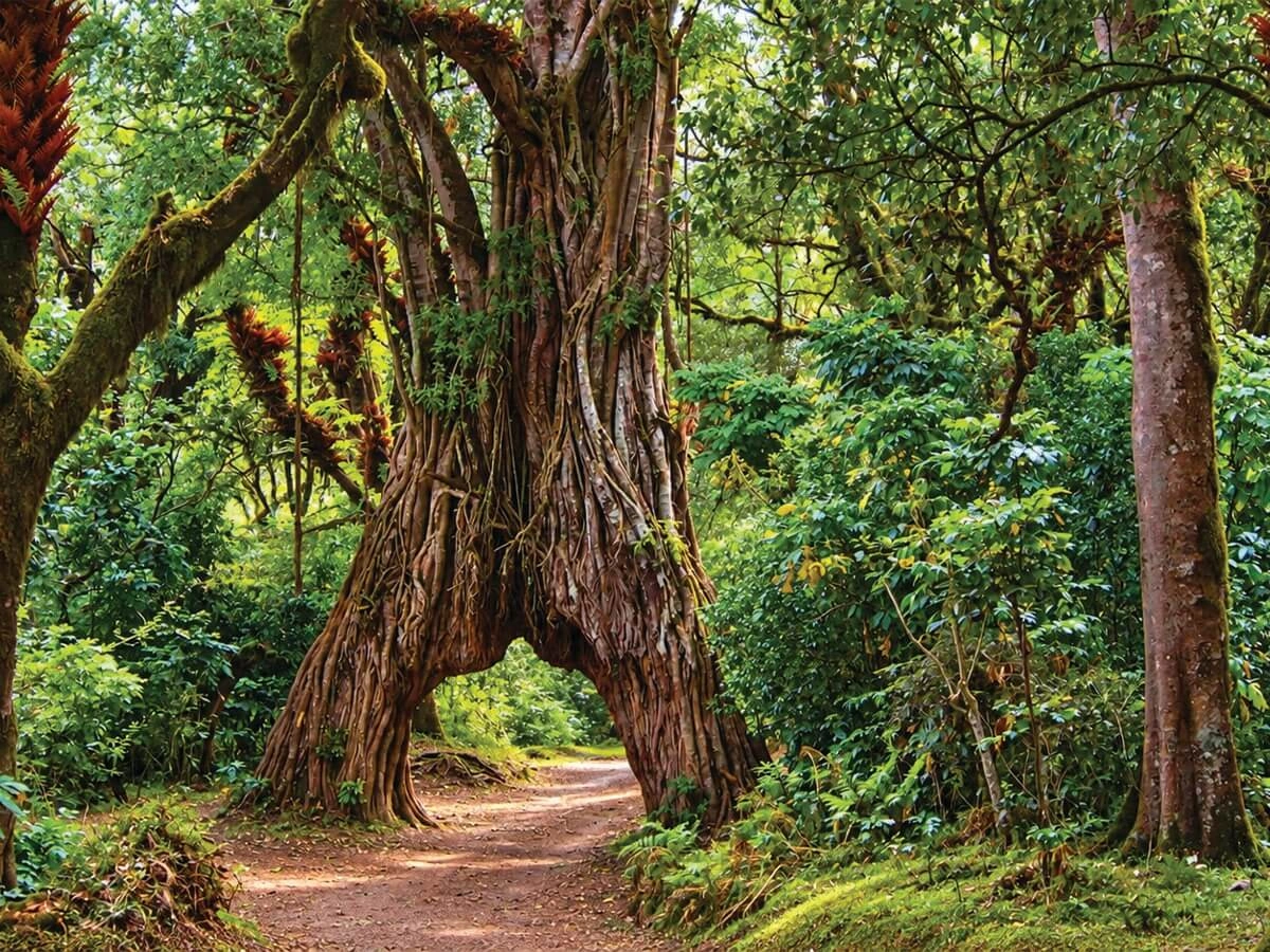 Natural beauty of Meru