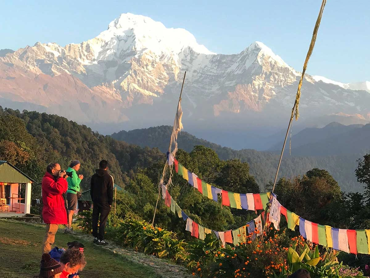 Yoga in Australian Camp