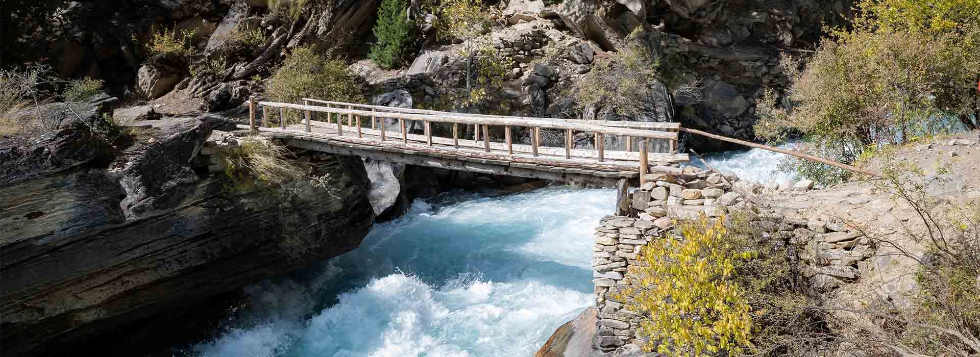 Your Exploration Partner,<br> Backed by Experience