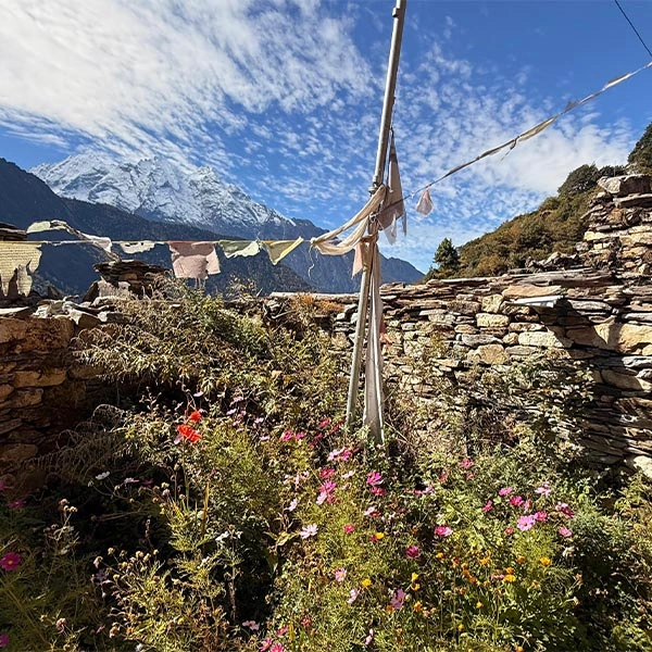 Beauty of Tsum Valley Trek