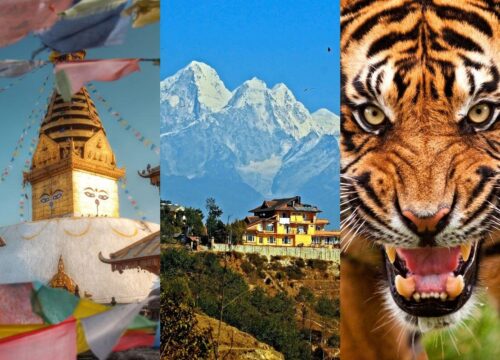 Temple , Mountains and Tiger Tour
